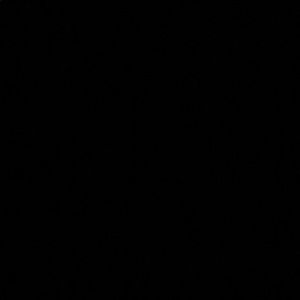 Meet your Posher, Joshua